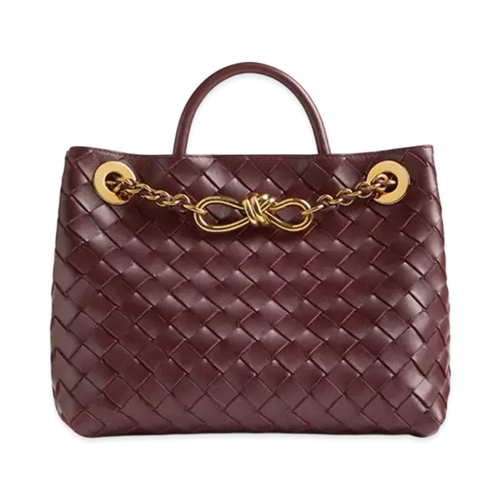 Bottega Veneta Small Andiamo Chain "Madder Brown"