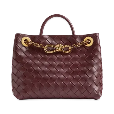 Bottega Veneta Small Andiamo Chain "Madder Brown"