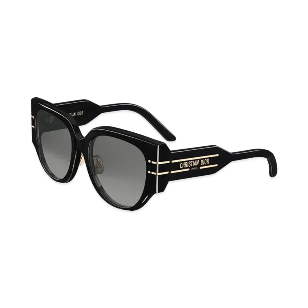 Dior DiorSignature R2F Rounded Sunglasses "Black"