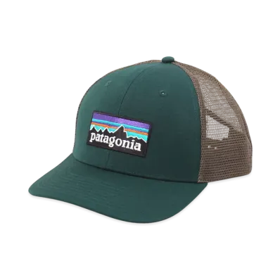 Patagonia P-6 Logo Trucker Hat "Cascade Green"
