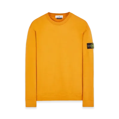 Stone Island 63750 Heavy Cotton Fleece Crewneck Sweatshirt - 23FW "Rust"