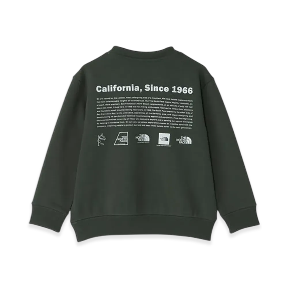 The North Face Toddler Historical Logo Sweat Crew Kids "Alpine"