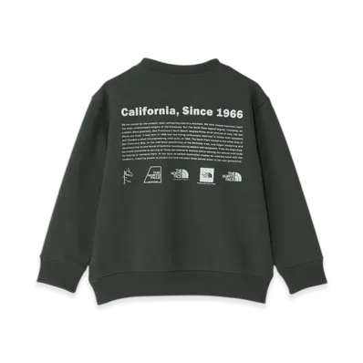 The North Face Toddler Historical Logo Sweat Crew Kids "Alpine"