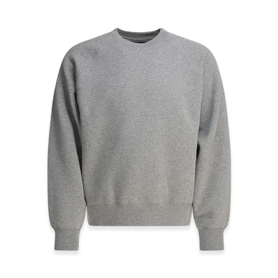 Stussy Sweatshirts "Gray"