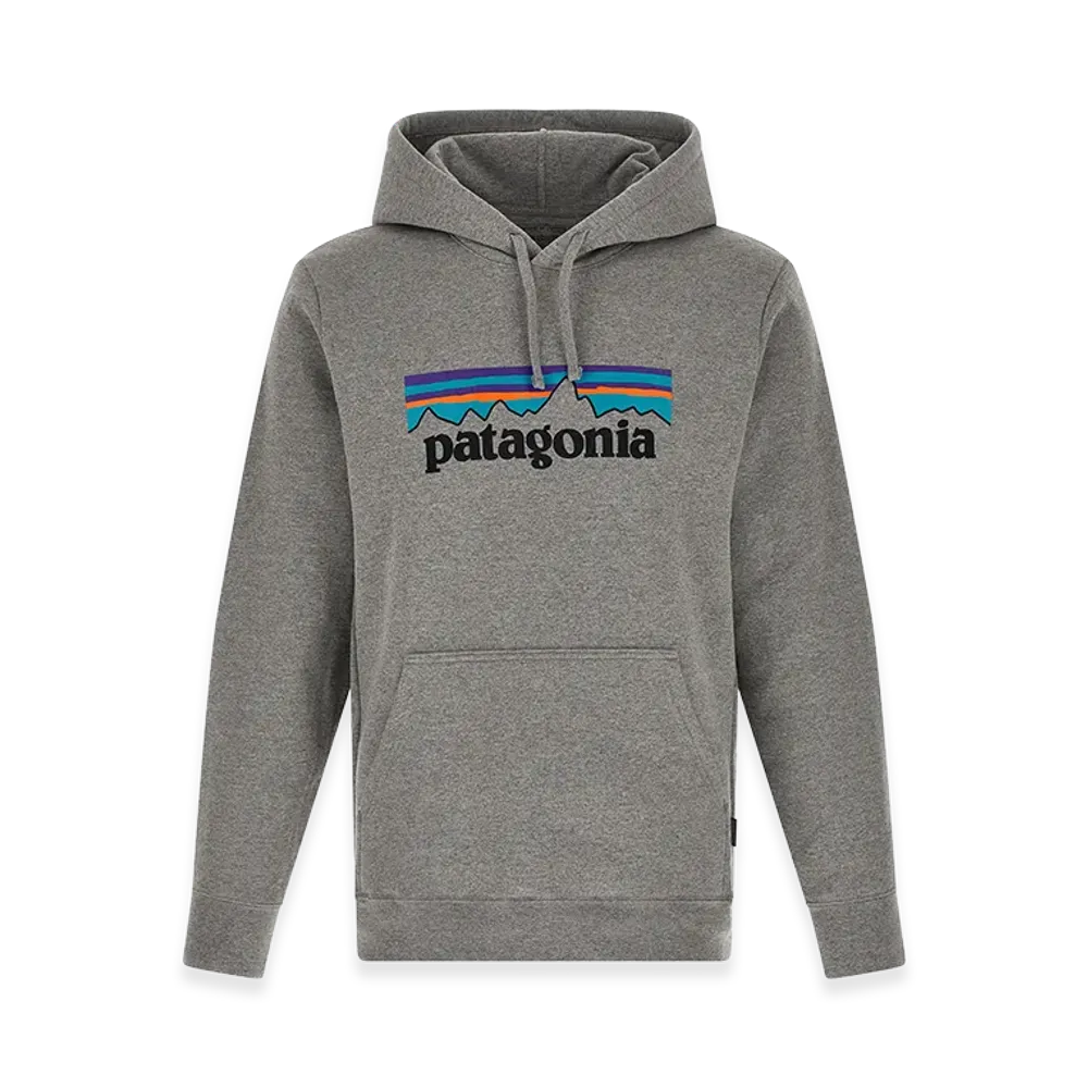 Patagonia Hoodie "Gray"