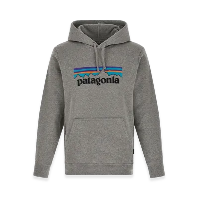Patagonia Hoodie "Gray"