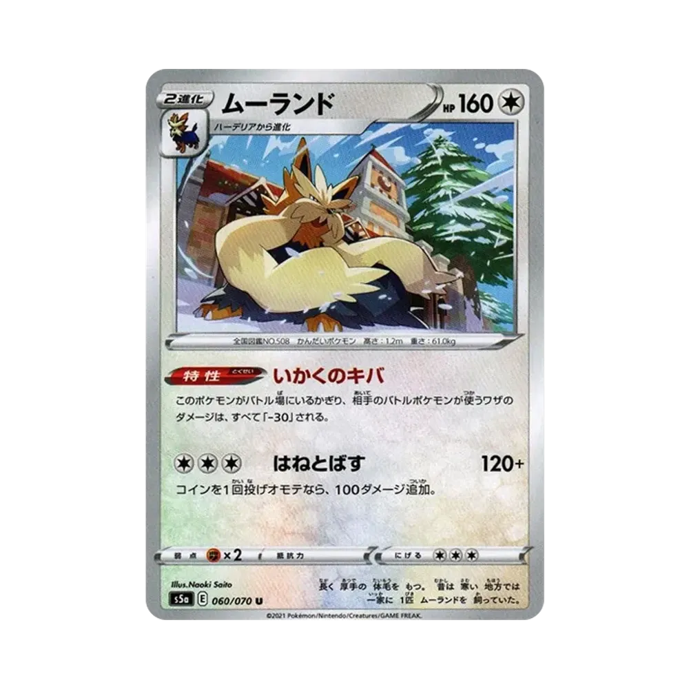 長毛狗