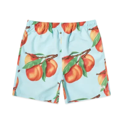 Stussy Peaches Water Shorts "Blue"