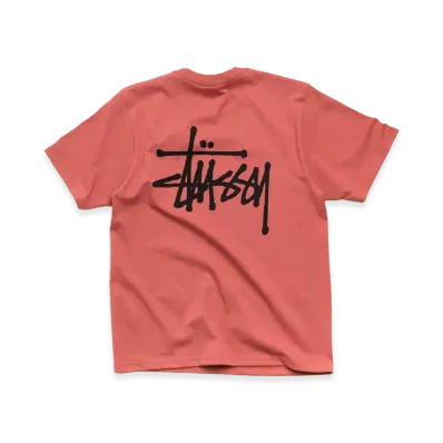 Stussy Basic Stussy Tee "Clay"