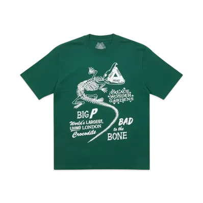 PALACE Chomper T-Shirt "Green"