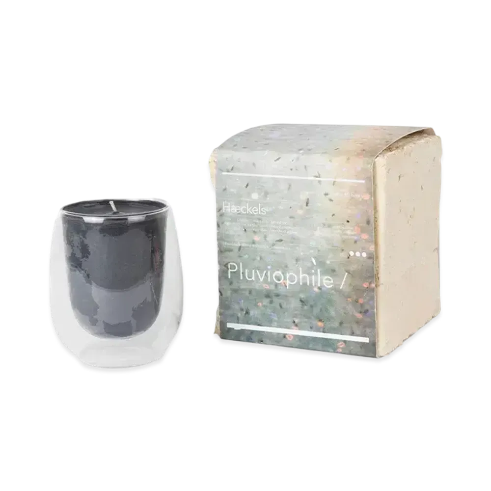 Paul Smith Haeckels Candle "AtherE"