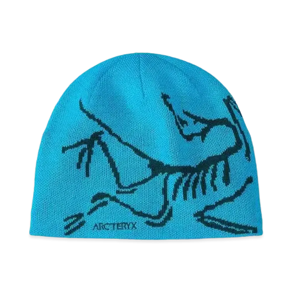 ARC'TERYX Bird Head Toque "Blue Tetra/Pytheas" X000006756