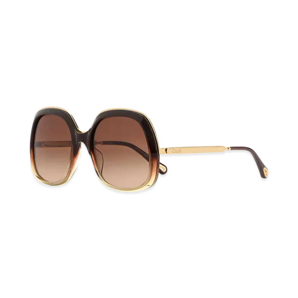 Chloe Women's Acetate Sunglasses "Brown"