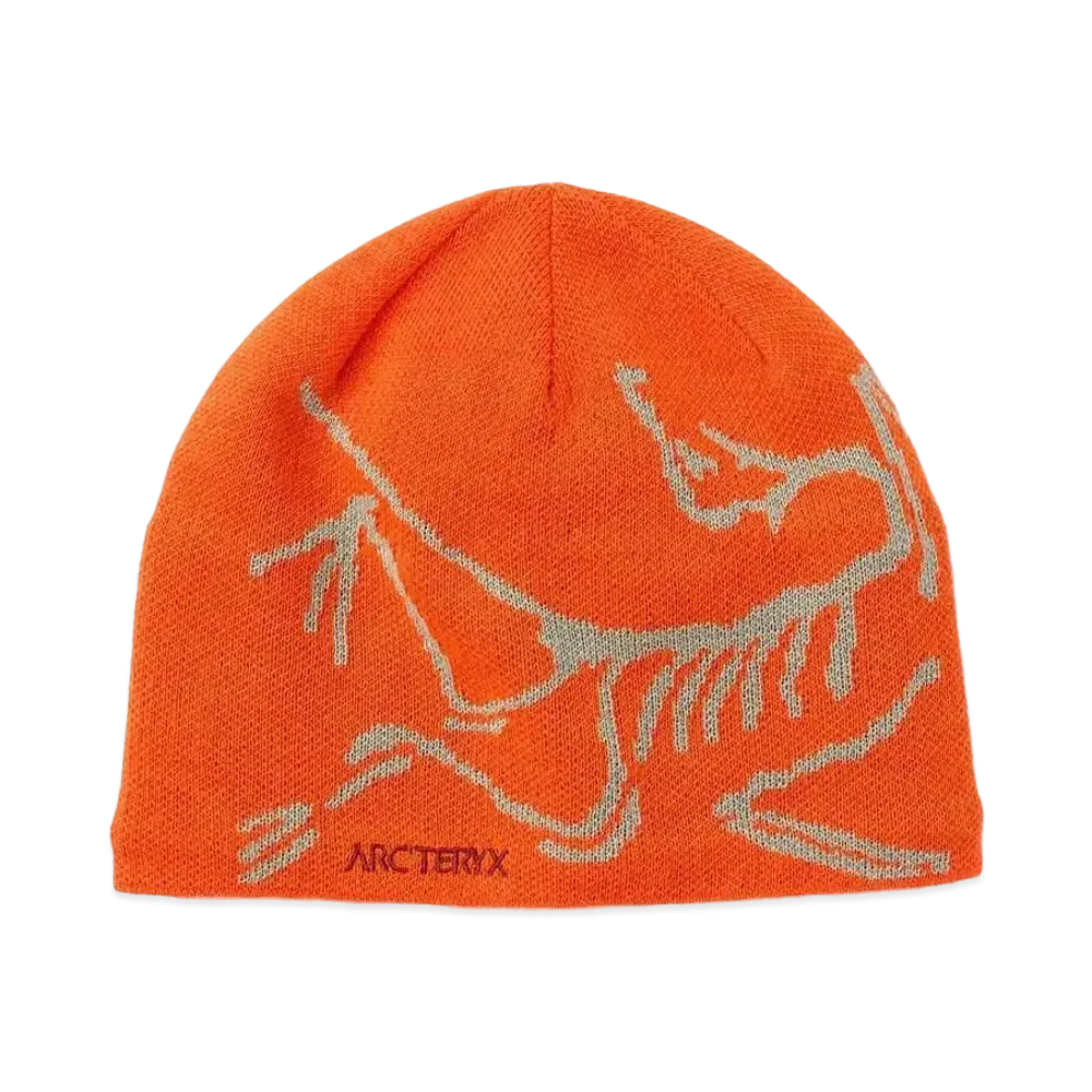 ARC'TERYX Bird Head Toque "Phenom/Habitat" X000005656