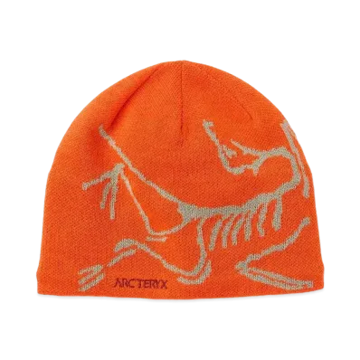 ARC'TERYX Bird Head Toque "Phenom/Habitat" X000005656