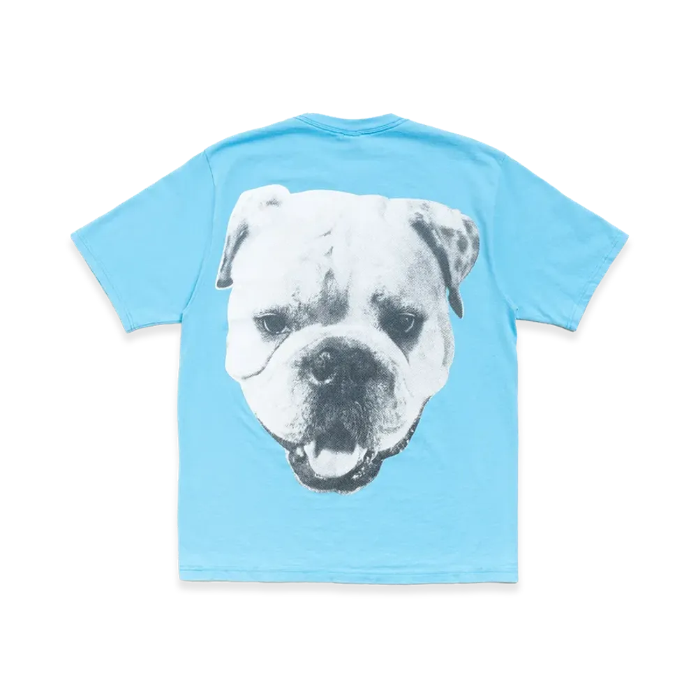 Stussy Big Dog Stone Washed Tee "Sky Blue"