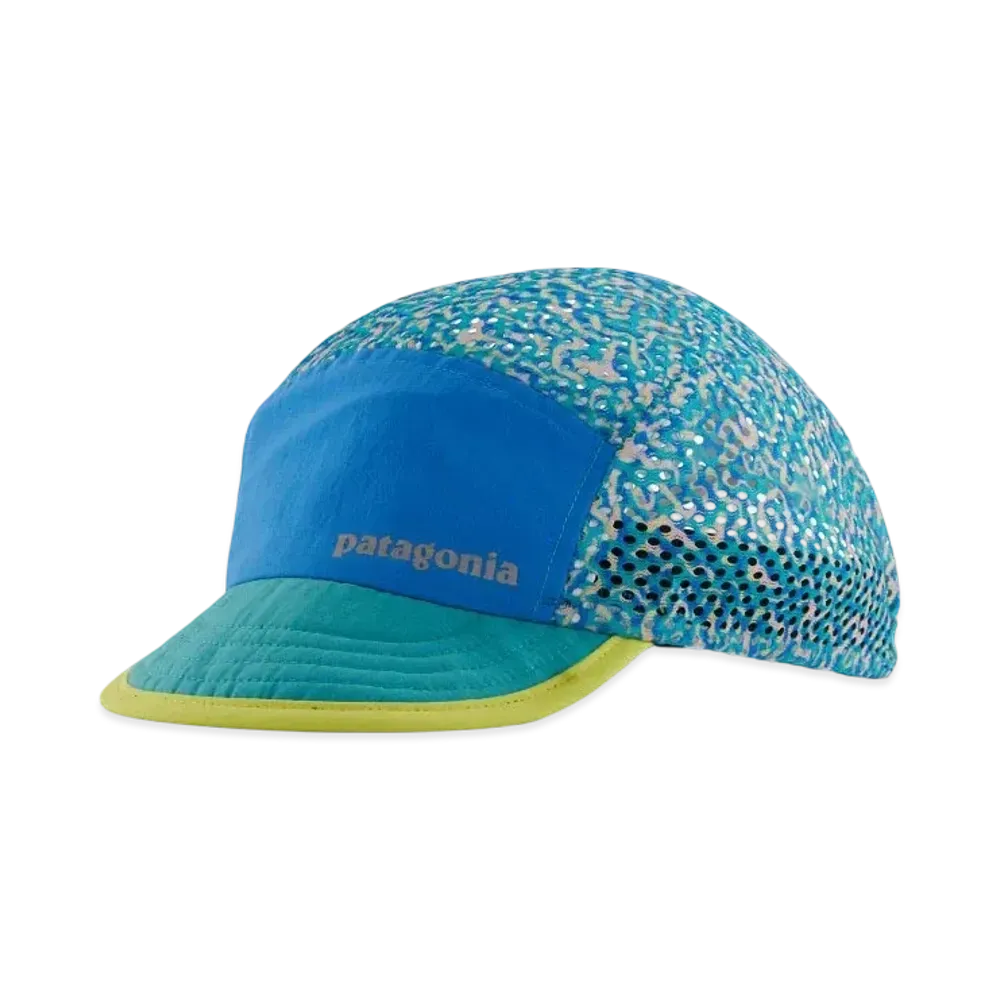 Patagonia Men's Fitz Roy Cap "Subtidal Blue"