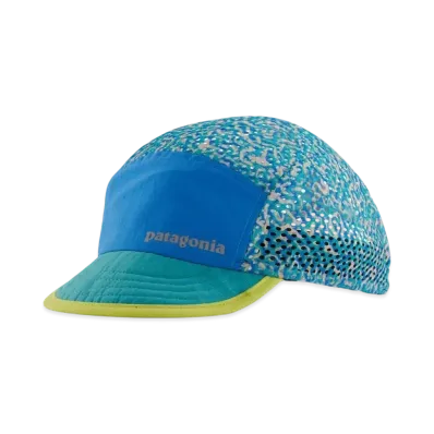 Patagonia Men's Fitz Roy Cap "Subtidal Blue"