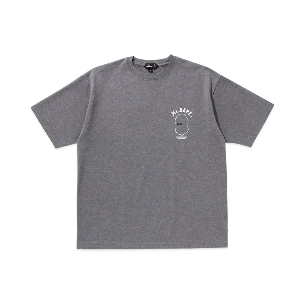 A BATHING APE Print Tee #2 "Gray"