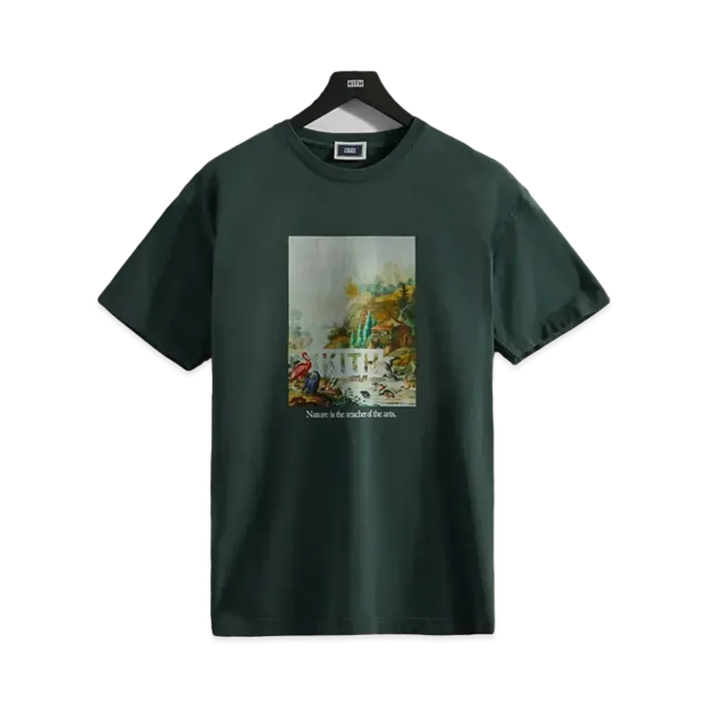 Kith Art Of Nature Vintage Tee "Stadium"