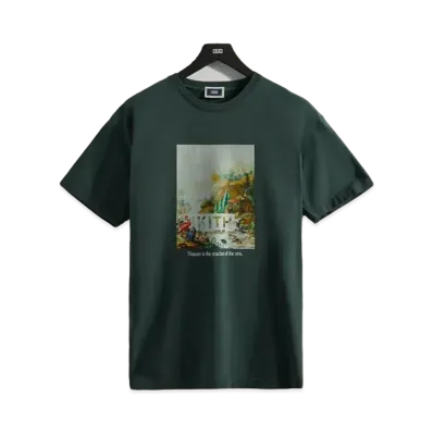 Kith Art Of Nature Vintage Tee "Stadium"