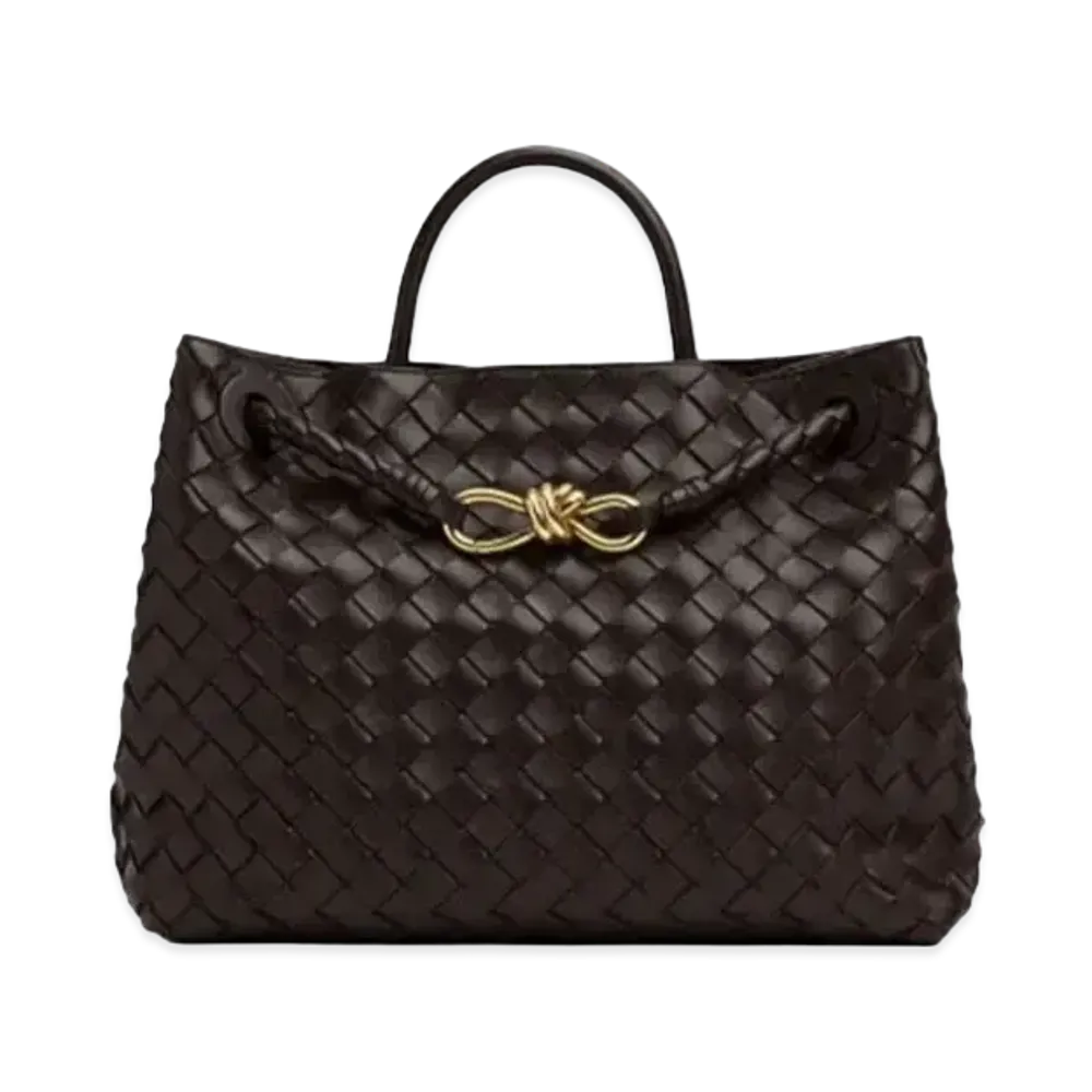 Bottega Veneta Medium Andiamo Hand Bag "Fondente"