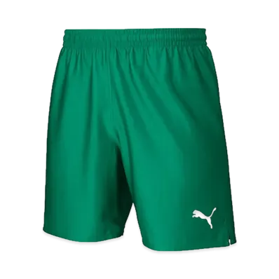 PUMA LIGA Match Shorts Core "Pepper Green/Puma White"