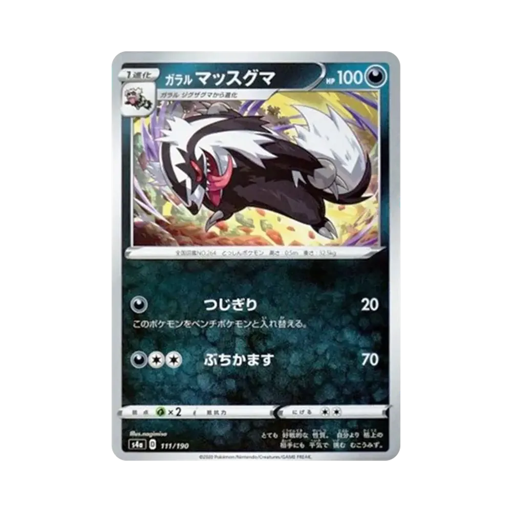 ガラル直衝熊