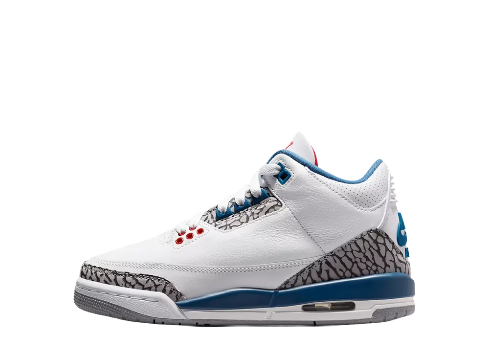 Nike GS Air Jordan 3 Retro OG "True Blue"