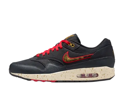 Nike Air Max 1 "Pirates"