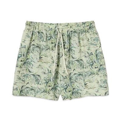 AURALEE Printed Airy Silk Shorts "Pale Green"