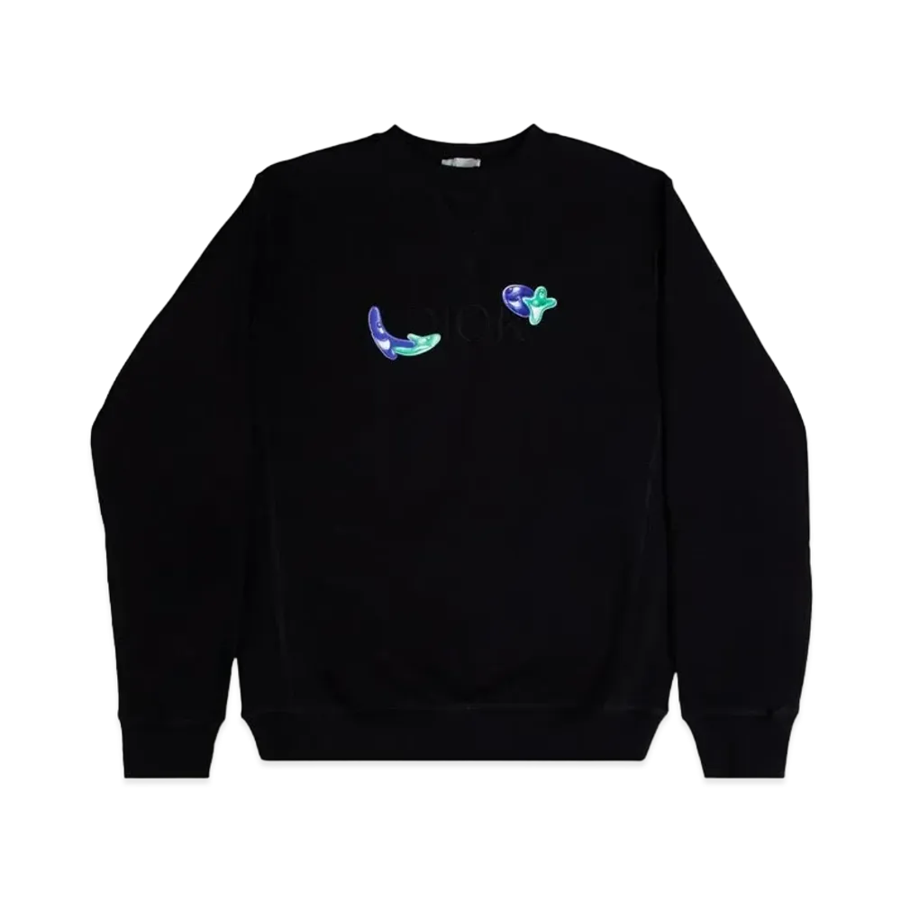 Dior x KENNY SCHARF Oversize Sweatshirt "Black"