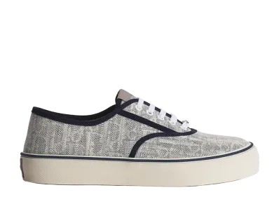 Dior Dioriviera Dior Saltwind Sneaker Dior Oblique Denim Canvas "Gray"