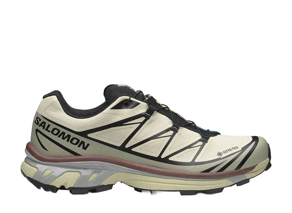 Salomon XT-6 GORE-TEX "Aspargus Green/Tea"