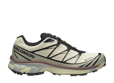 Salomon XT-6 GORE-TEX "Aspargus Green/Tea"