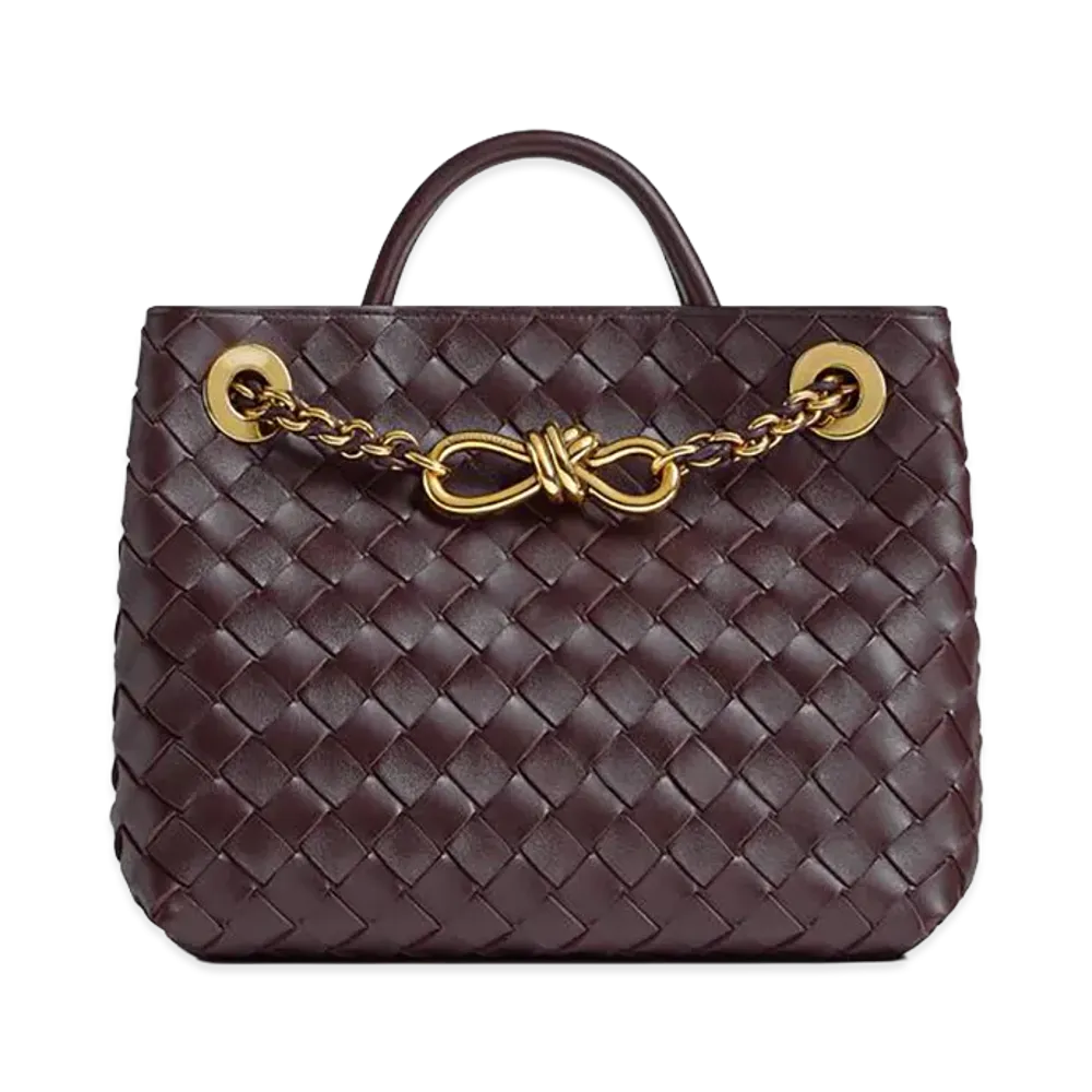 Bottega Veneta Small Andiamo Chain "Dark Barolo"