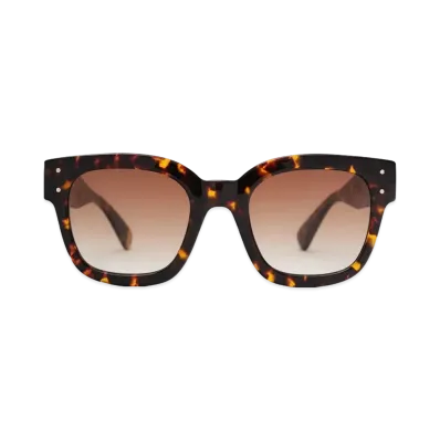 AMIRI Classic MA Sunglasses "Tortoise Shell"