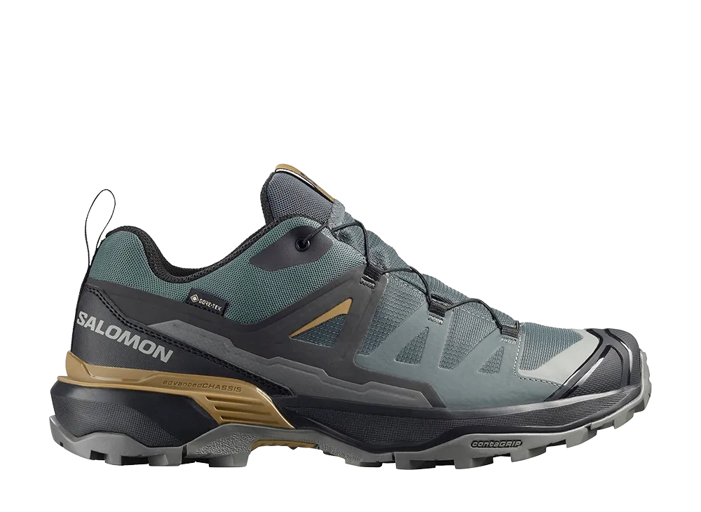 Salomon X Ultra 360 GORE-TEX "Urban Chic/Black"