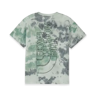 The North Face Kids Short Sleeve Novelty Big Root Tee "Celestial Grey"