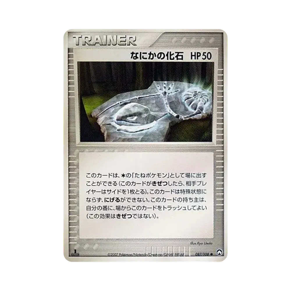 なにかの化石