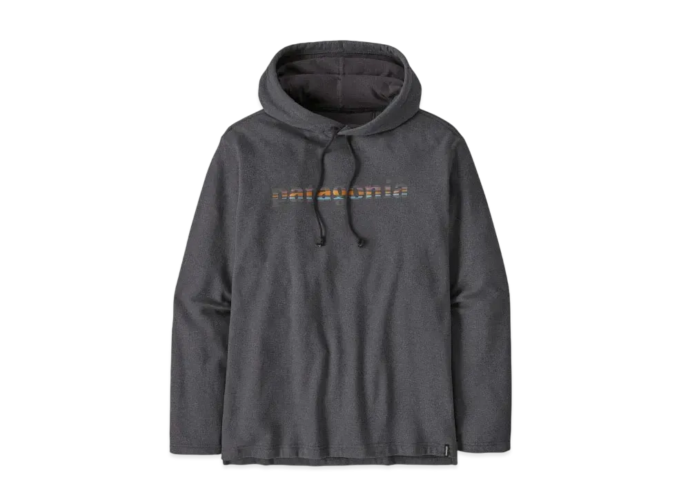 Patagonia Men's Lightweight 73 Text Logo Wildrise Hoodie "Black"