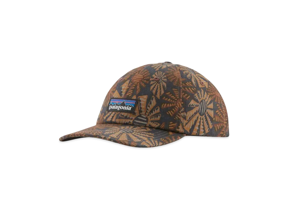 Patagonia Men's P-6 Label Trad Cap "Sun Wavy"