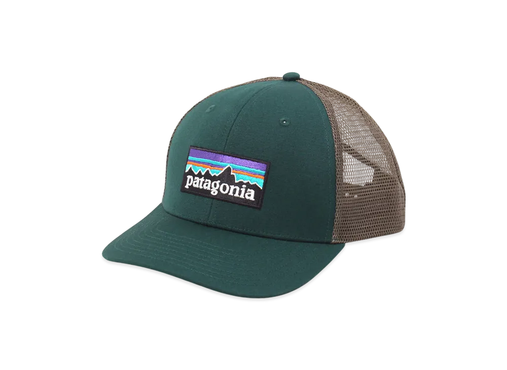 Patagonia P-6 Logo Trucker Hat "Cascade Green"