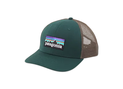 Patagonia P-6 Logo Trucker Hat "Cascade Green"