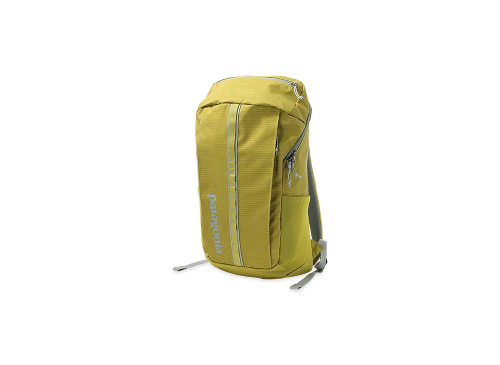 Patagonia Black Hole Pack 25L "Shrub Green"
