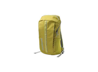 Patagonia Black Hole Pack 25L "Shrub Green"