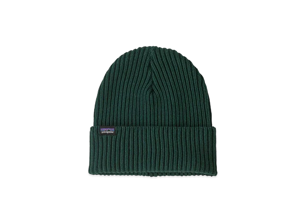 Patagonia Fishermans Rolled Beanie "Cascade Green"