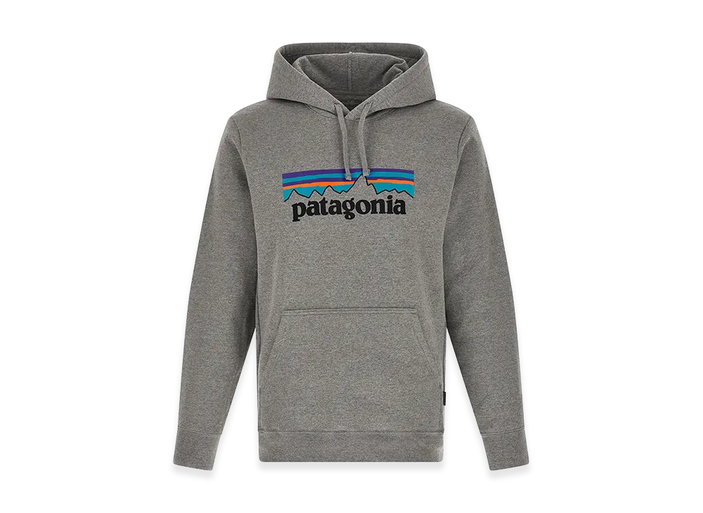 Patagonia Hoodie "Gray"