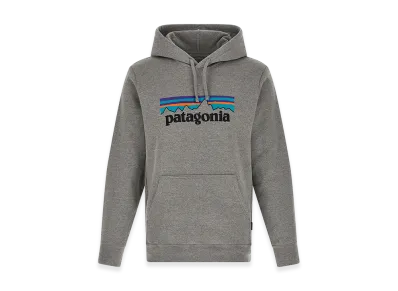 Patagonia Hoodie "Gray"