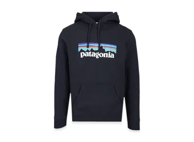 Patagonia Hoodie "Blue"